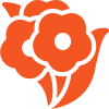 گل و پروانه